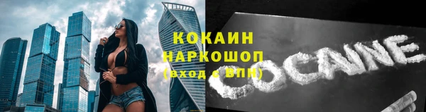 трава Арсеньев