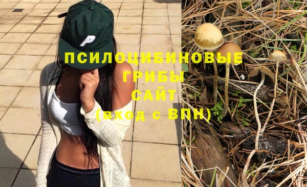 трава Арсеньев