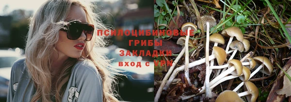 трава Арсеньев